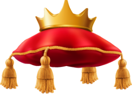 vip